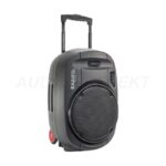 Prenosni razglas Ibiza PORT15UHF-MK2-TWS 800W