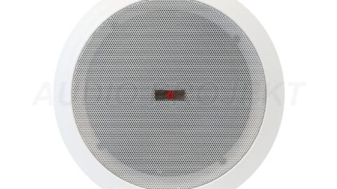 Stropni zvučnik BST AP1410 100V-30W